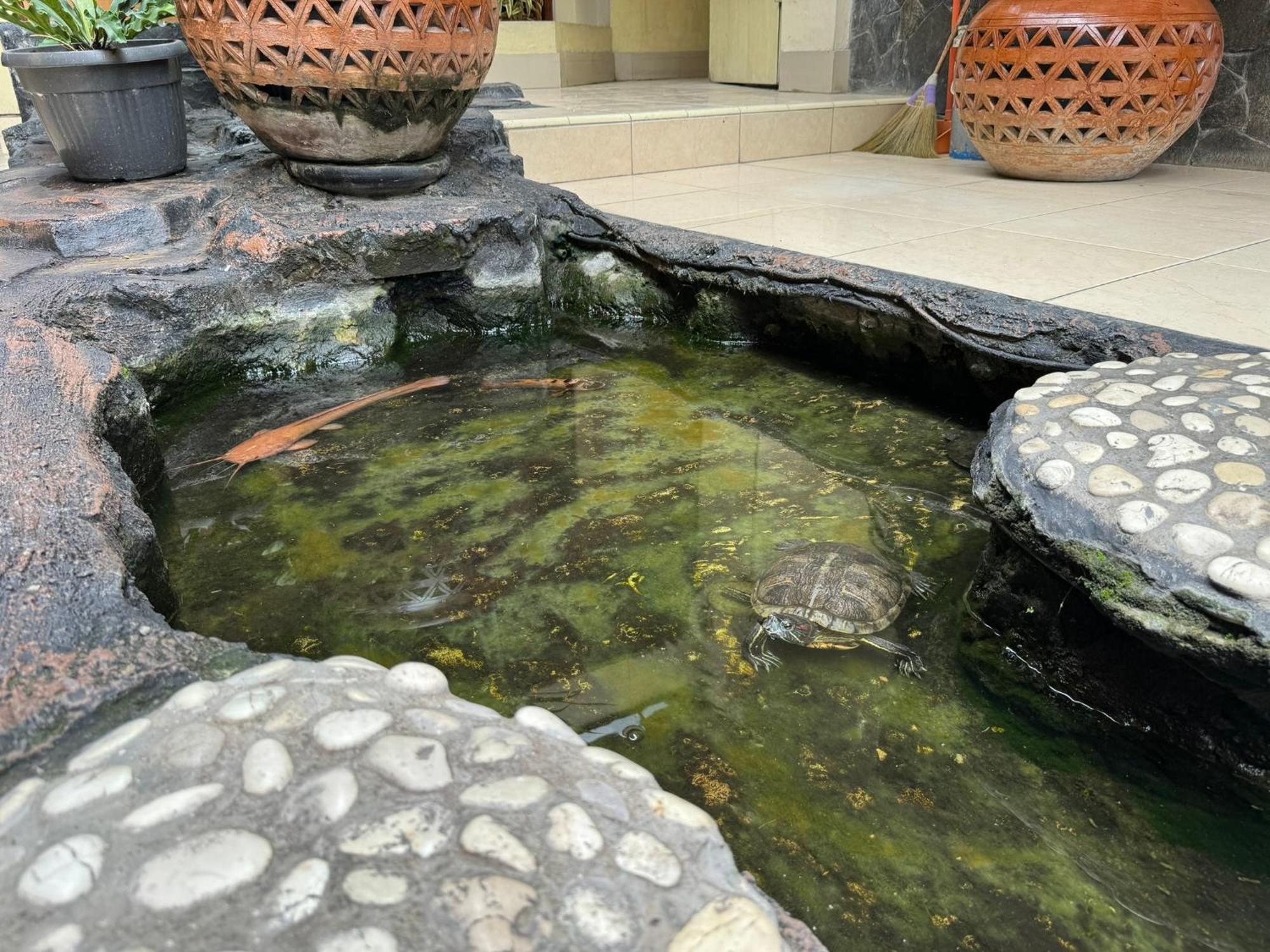 Hotel Priangan Cirebon Extérieur photo